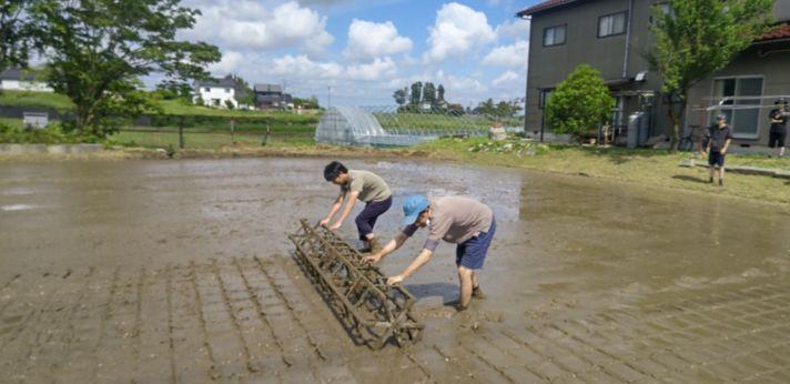 有限会社ファーム・ファームの画像