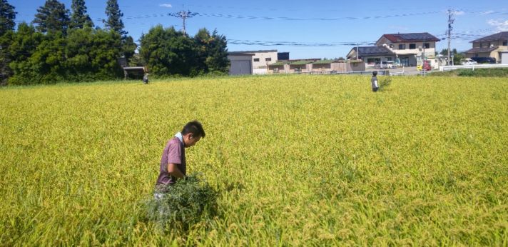 若者の自立支援の一環で共同生活寮を運営！富山市に根ざした活動を行う認定NPO法人の画像