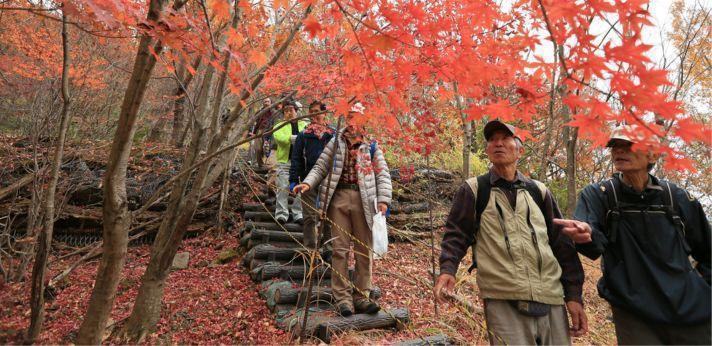 植樹デー、草刈デー、作業デー、観察会の画像