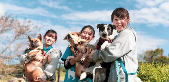 犬の殺処分ゼロの画像