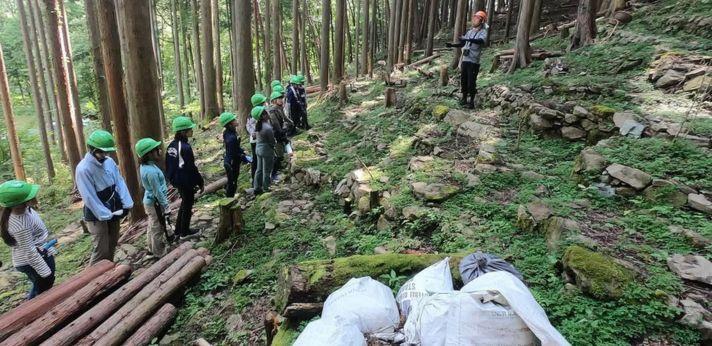 森をつくるの画像