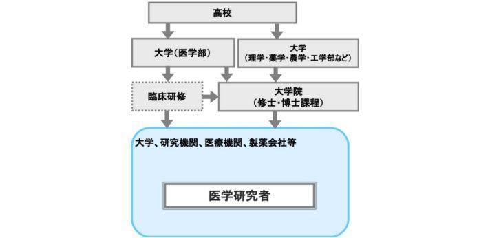 医学研究者-職業詳細 就業するには?の画像