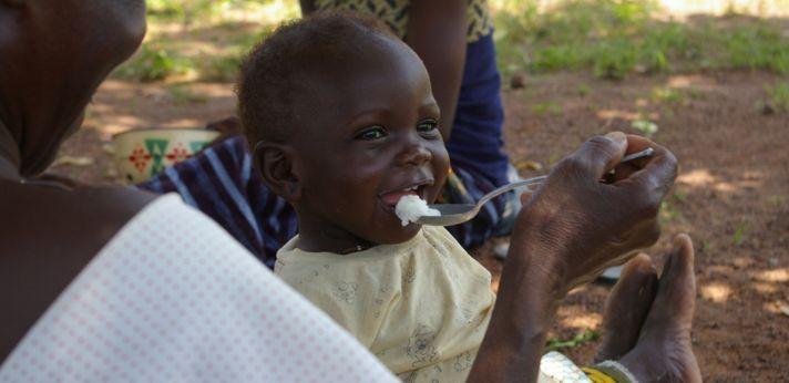 支援からの卒業・自立ストーリー in ブルキナファソ・クブリ郡の画像