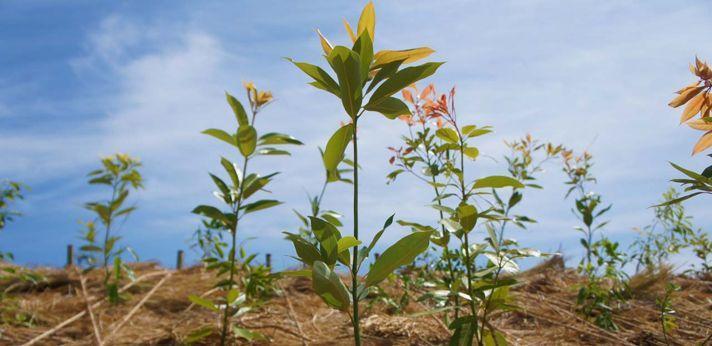 活動内容の画像