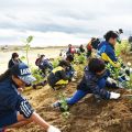 暮らしと地域を守るために！世界に誇る「災害からいのちを守る森」づくりの技術