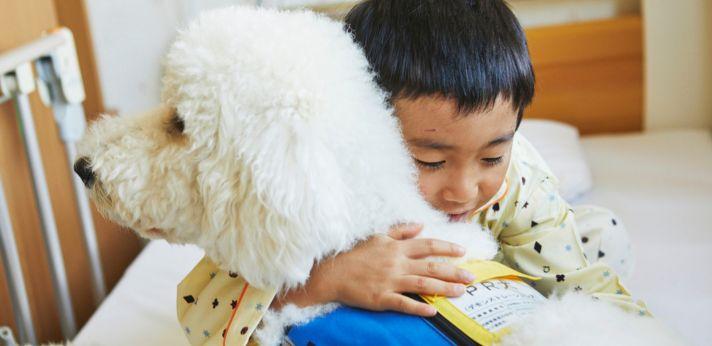 Dog Intervention®の画像