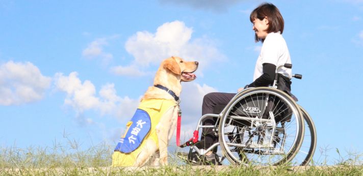 介助犬とともに暮らせる社会の実現を目指す！人と犬をつなぐ活動に力を注ぐ団体の画像