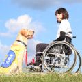 介助犬とともに暮らせる社会の実現を目指す！人と犬をつなぐ活動に力を注ぐ団体