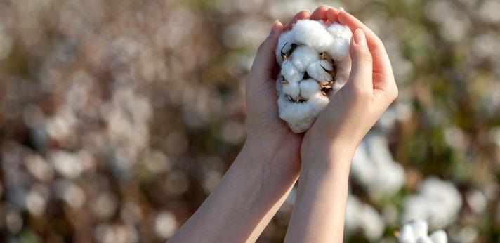 活動内容の画像