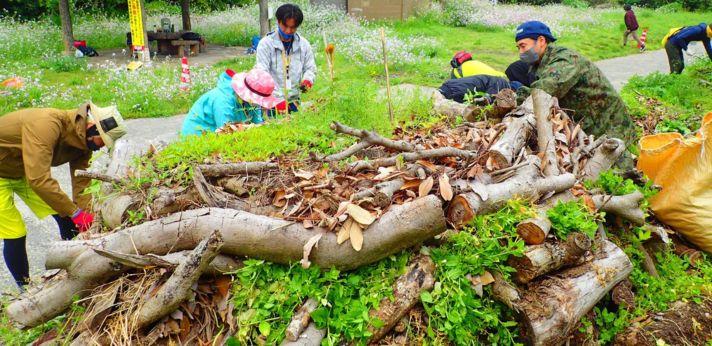 海と森を知り守る活動の画像