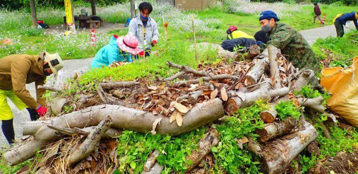 海と森を知り守る活動の画像