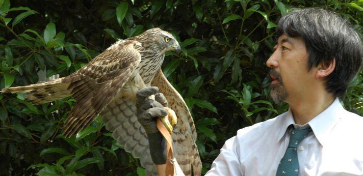 活動内容の画像