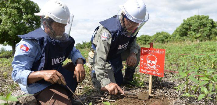 地雷処理・不発弾処理活動の画像