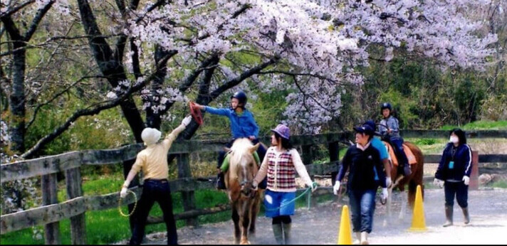 1998年に日本の馬介在サービスをスタートし発展・普及と人材育成に注力する団体の画像