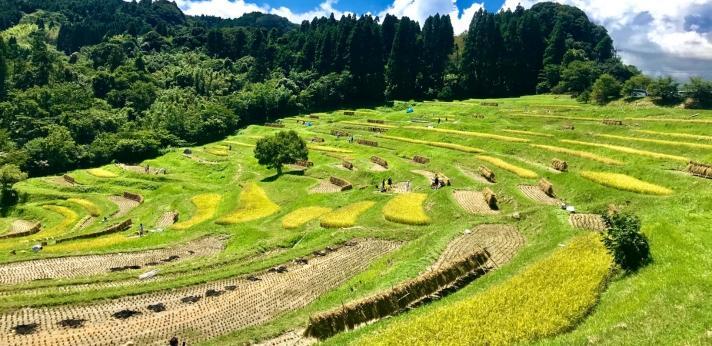 概要の画像