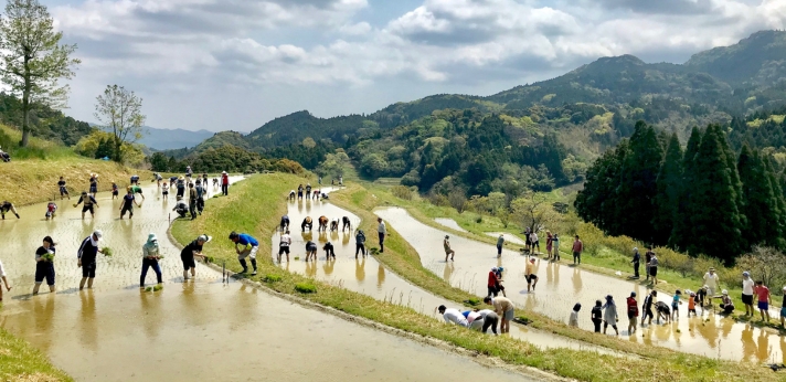 大山千枚田の管理維持などの活動を通じて自然とともに生きる暮らしを未来につなぐ団体の画像