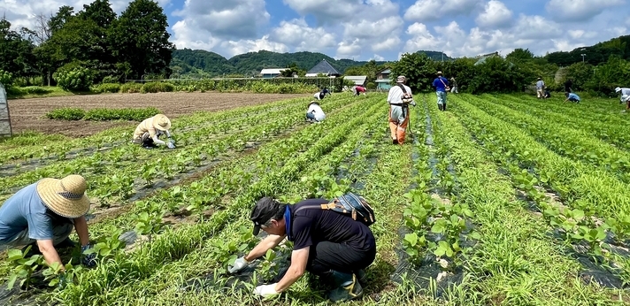 大山千枚田の管理維持などの活動を通じて自然とともに生きる暮らしを未来につなぐ団体の画像