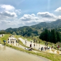 大山千枚田の管理維持などの活動を通じて自然とともに生きる暮らしを未来につなぐ団体