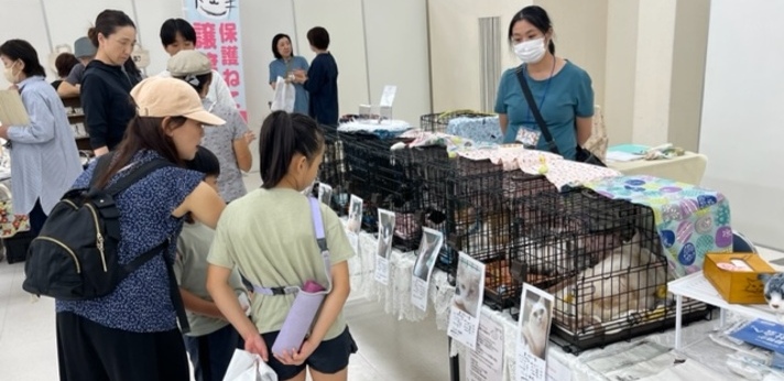 犬や猫の保護活動を支援し企業連携で譲渡会を広げる団体の画像