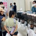 犬や猫の保護活動を支援し企業連携で譲渡会を広げる団体