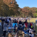 フリーマーケットを中心に地域振興・地域保全活動やリサイクル運動の輪を広げる団体