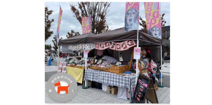 代表のチャレンジ:老犬ホーム設立クラウドファンディングの画像