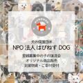 殺処分ゼロを目指し保護犬と新たな家族のご縁をつなぐ活動に取り組む団体