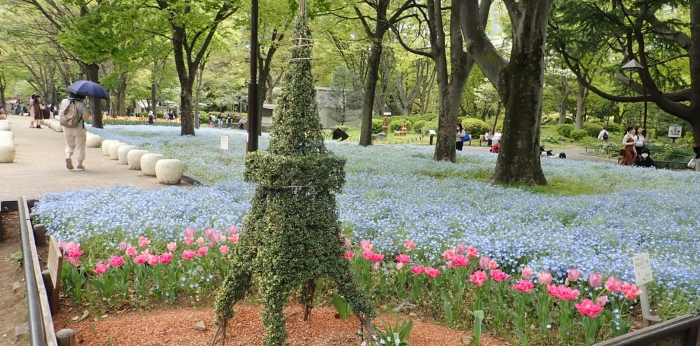 植物アート「トピアリー」の普及や人材育成・技術開発に尽力する国内唯一の団体の画像