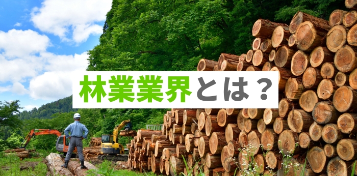 林業業界とは？具体的な職種や現状・今後の動向を解説