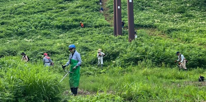 ボランティアによる草刈りの画像