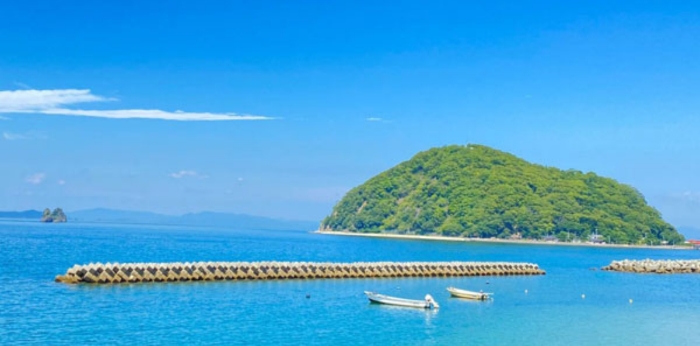 子どもたちに美しい海の原体験を～日本の海を救おうプロジェクトの画像