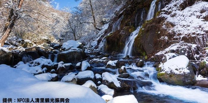 支援内容／活動内容の画像