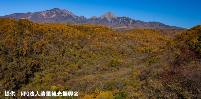 八ヶ岳麓の清里高原で観光事業の振興と商工業の発展に尽力する地域のまちづくり団体の画像