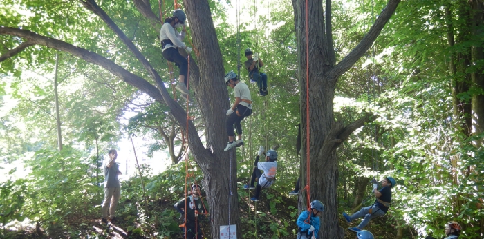 森林の整備・緑化の推進の画像