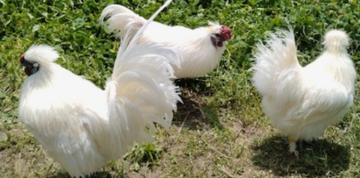 施設運営サポーターの画像