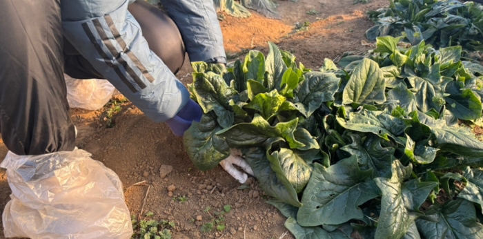 「しあわせに食べること」でつながる居場所の画像