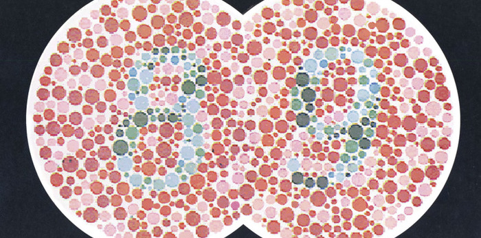 色の見え方を体験する場を提供し色覚多様性を通じてより良い社会の実現を目指す団体の画像