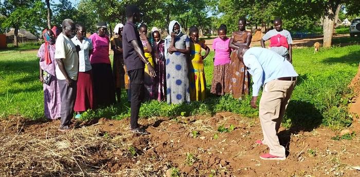 コミュニティ栄養菜園の画像