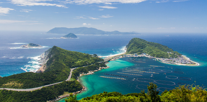 高知県柏島の豊かな海で「里海づくり」を推進し里海教育や体験活動に取り組む団体の画像