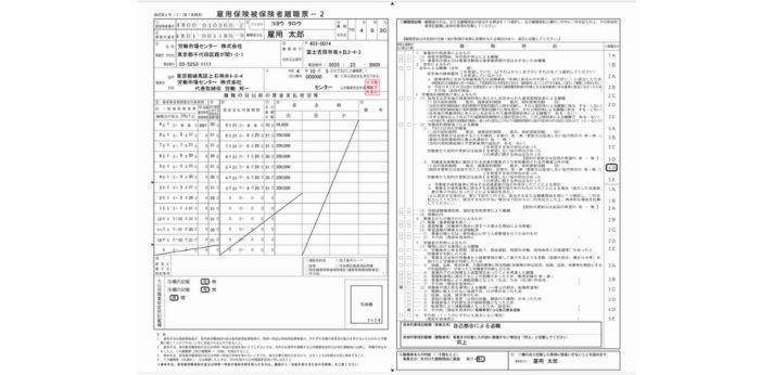 「離職票―2」の見本の画像