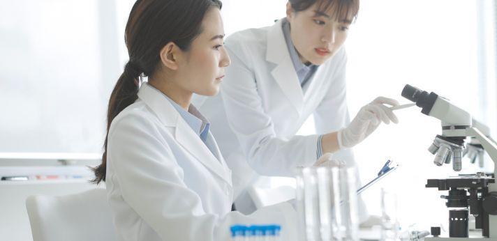 医薬品業界の具体的な職種の画像