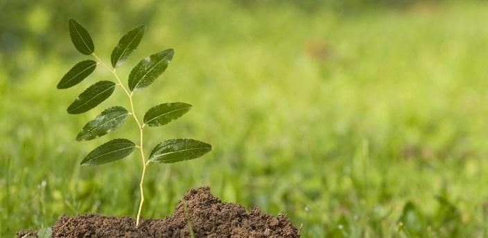 転職回数が多いと不利?就活への影響と対策