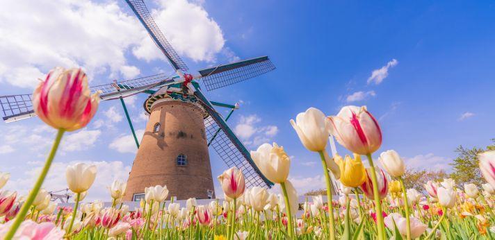 【暮らし編】千葉県で就職するメリットの画像