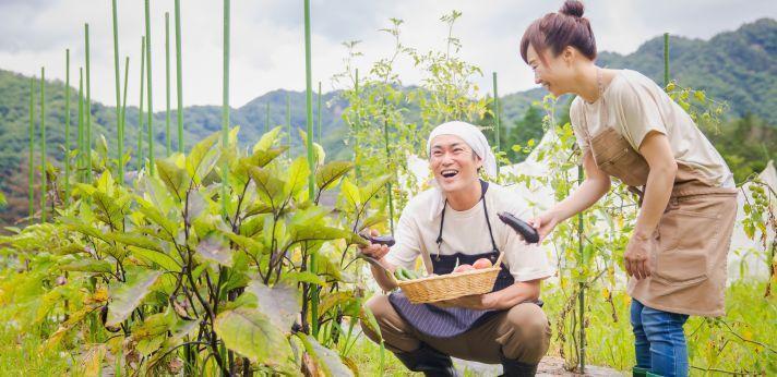 フリーターが千葉県で正社員就職を目指せる求人の画像
